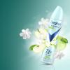 imageDegree Antiperspirant Deodorant Dry Spray Coconut ampamp Hibiscus 72Hour Sweat and Odor Protection Deodorant Spray With Body Heat Activated Technology 38 ozApple Gardenia
