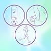 imageDegree Antiperspirant Deodorant Shower Clean Pack of 36 72Hour Sweat ampamp Odor Protection Antiperspirant for Women with Body Heat Activated Technology 05 ozApple and Gardenia