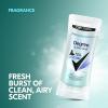 imageDegree Antiperspirant for Women Protects from Deodorant Stains Pure Clean Deodorant for Women 26 oz Pack of 4