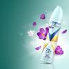 imageDegree Antiperspirant Deodorant Cucumber Burst Dry Spray 72Hour Sweat ampamp Odor Protection Deodorant Spray For Women With Body Heat Activated Technology 38 ozSexy Intrigue