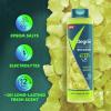 imageDegree Men Body Wash and Soak For PostWorkout Recovery Skincare Routine Lemongrass and Eucalyptus  Epsom Salt  Electrolytes Bath and Body Product 22 FL Oz Pack of 4Extrene Blast